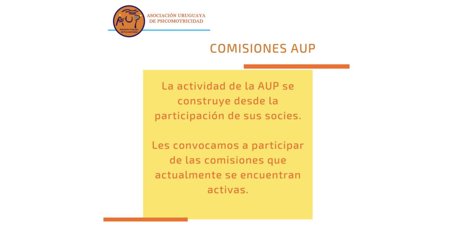 Flyer Reunión de Comisiones AUP